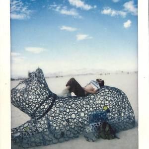 Meet your Posher, Dylan